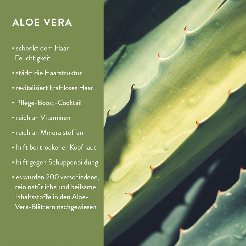 Bio Shampoo Pulver Starterset  – mit Refill Glasflasche