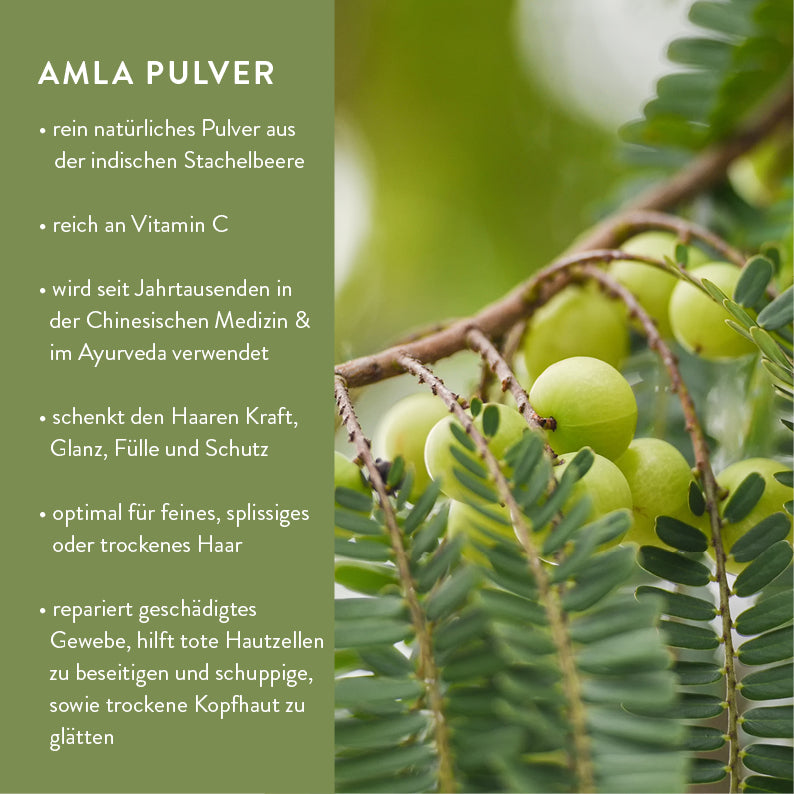 Bio Haarpflege Starterset – Pulver mit Refill Flaschen aus Polywood