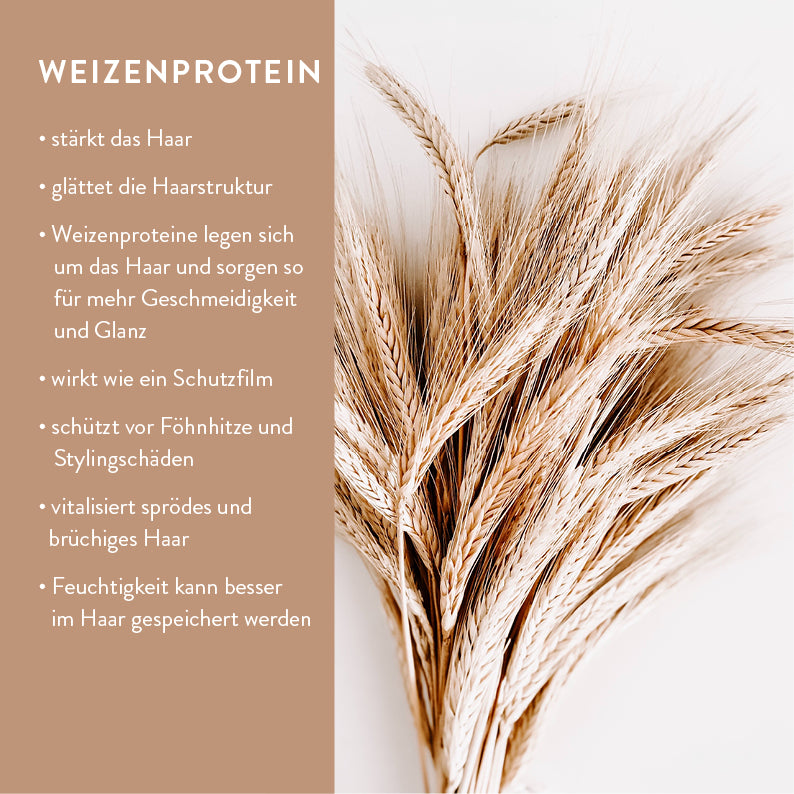 Bio Haarpflege Starterset – Pulver mit Refill Flaschen aus Polywood