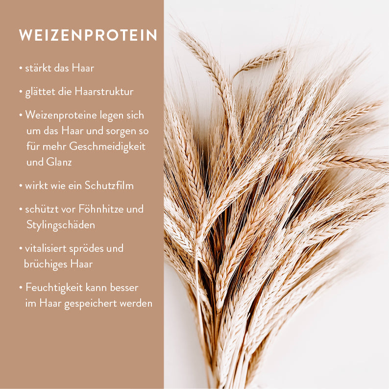 Bio Shampoo Pulver Starterset  – mit Refill Glasflasche